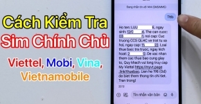Hướng Dẫn Cách Kiểm Tra Thông Tin Chính Chủ Sim Đơn Giản, Nhanh Chóng