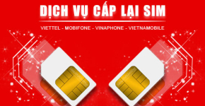 Hướng Dẫn Cấp Lại SIM Vật Lý Nhanh Chóng, Đơn Giản